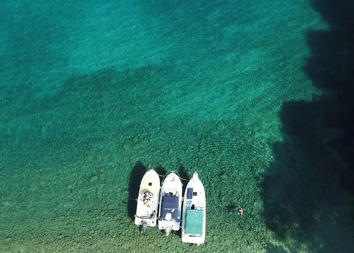 Andrea Daire Sveta Marina